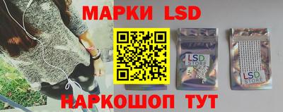 стафф Будённовск