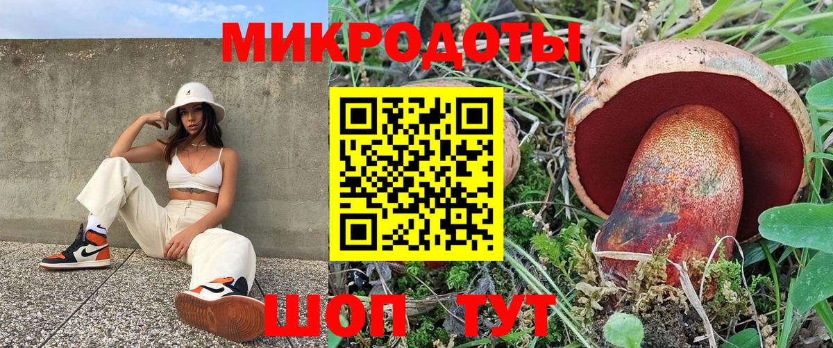 продажа наркотиков  Галлюциногенные грибы Magic Shrooms  Вход с VPN  Галлюциногенные грибы Psilocybine cubensis  Орехово-Зуево 